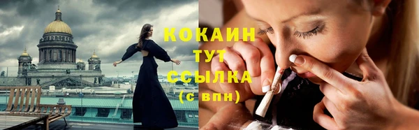 стаф Ростов