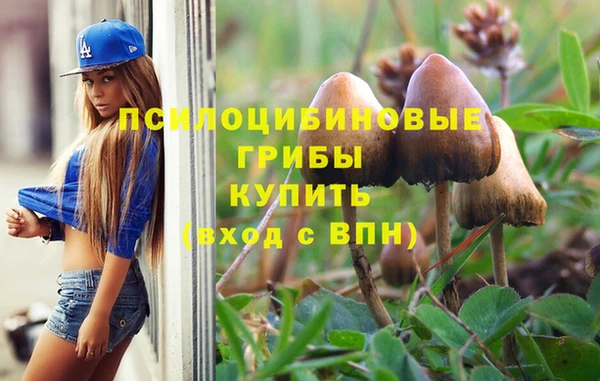 стаф Ростов