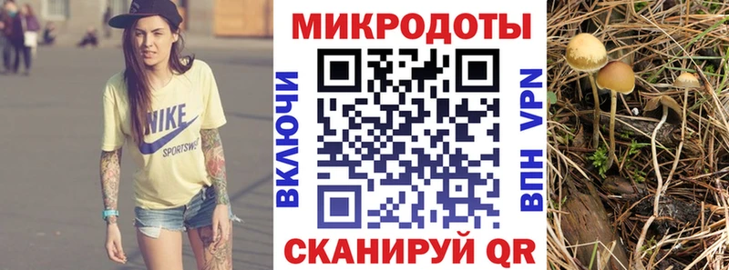 мега зеркало Нижнеудинск Галлюциногенные грибы мухоморы где найти